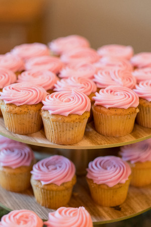 Pink wedding reception cupcakes at a winter wedding in Oregon.の写真素材