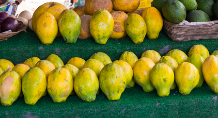 Farmer's market on the North Shore of Oahu Hawaii with green, yellow, and white papayas for sale.の写真素材