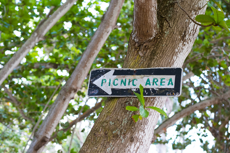White and green picnic area sign made from a black one way sign and hung on a tree in Oahu Hawaii.の写真素材