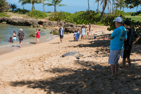 HALEIWA, OAHU, HAWAII - FEBRUARY 15, 2017: Tourists fill the beach and take pictures and selfies with cameraphones after a tour bus lets them off at Haleiwa Beach Park in Oahu Hawaii.のeditorial素材