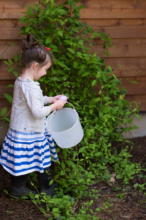 Easter Egg Hunt Outdoors in Oregonの写真素材