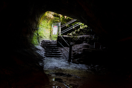 hawaii volcanoes National Park Thurston Lava Tubeの写真素材