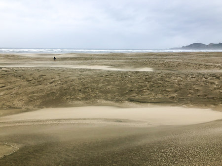 Windy Sandy Beach in Oregonの写真素材
