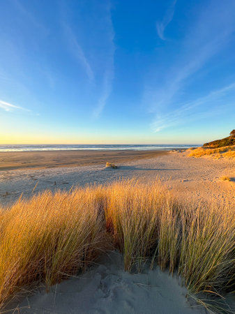 Sand Dunes on Beach at Sunset