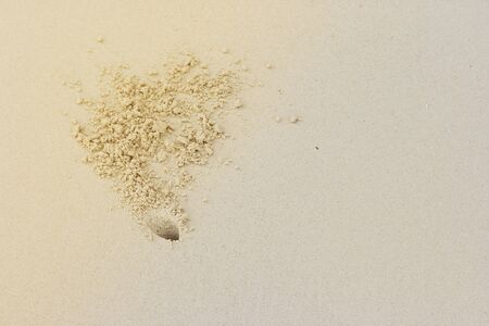 Crab hole and sand on the beach background. Copy Space. Phuket Thailand.のイラスト素材
