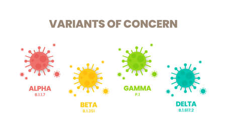 Illustrator vector of the COVID-19 virus's new Variants of Concern (VOC). A âvariantâ is mutated version of the original virus. Colorful infographic of the variations : Alpha, Beta, Gamma and Delta.のイラスト素材