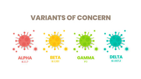 Illustrator vector of the COVID-19 virus's new Variants of Concern (VOC). A âvariantâ is mutated version of the original virus. Colorful infographic of the variations : Alpha, Beta, Gamma and Delta.のイラスト素材