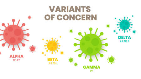 Illustrator vector of the COVID-19 virus's new Variants of Concern (VOC). A âvariantâ is mutated version of the original virus. Colorful infographic of the variations : Alpha, Beta, Gamma and Delta.のイラスト素材