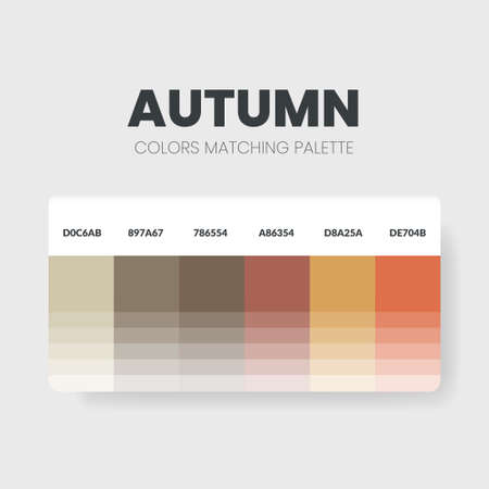 Autumn color matching palettes or color schemes are trends combinations and palette guides this year; table color shades in RGB or HEX. A color swatch for a fresh fashion, home, or interior set designのイラスト素材