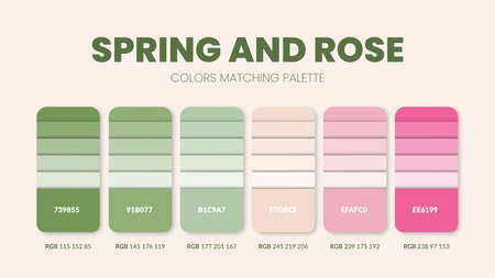 Spring rose color palettes or color schemes are trends combinations and palette guides this year, a table color shades in RGB or  HEX. A color swatch for a spring rose fashion, home, or interior setのイラスト素材