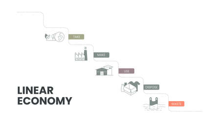 The vector infographic diagram of the linear economy concept has 5 dimensions such as take, make,...