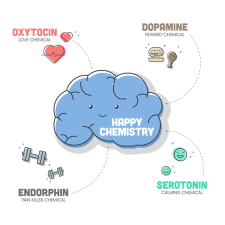 Happy Chemistry infographic has 4 types of Chemical hormones such as Oxytocin (Love), Serotonin (Calming), Dopamine (Reward) and Endorphin (Pain Killer). Happy chemicals concept. Presentatation slide.のイラスト素材