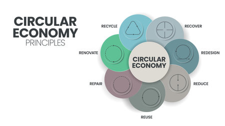 7R circular economy principles concept for economic sustainability of production and consumption has 7 steps to analyze such as reduce, recycle, recover, repair, redesign, reuse and renovate. Vector.