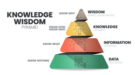 Knowledge Wisdom hierarchy infographic template with icon has Wisdom (Shared understanding), Knowledge (Judgment), Information (Cognition), Data (Processing). DIKW knowledge management pyramid vector.のイラスト素材