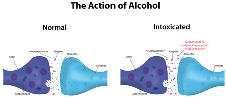 The Action of Alcoholのイラスト素材