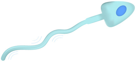 Spermのイラスト素材