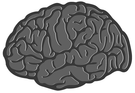 Brainのイラスト素材