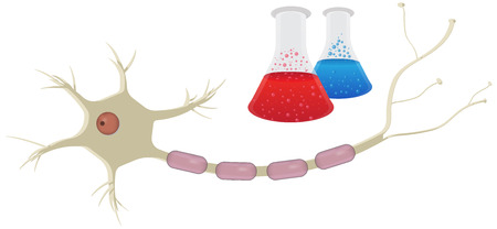 Neuroscienceのイラスト素材