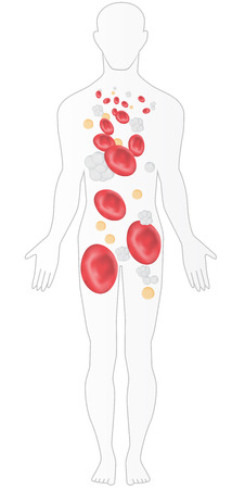 Human Body Bloodのイラスト素材