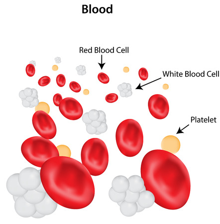 Blood Labeled Diagramのイラスト素材
