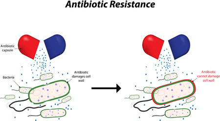 Antibiotic Resistanceのイラスト素材