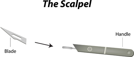 The Scalpel Labeled Diagramのイラスト素材