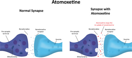 Atomoxetineのイラスト素材