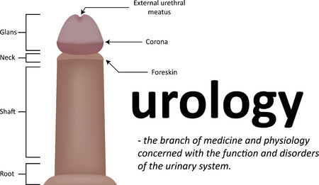 Urologyの写真素材