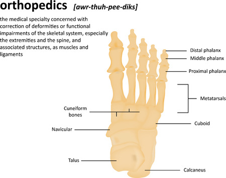Orthopedics Definitionの写真素材