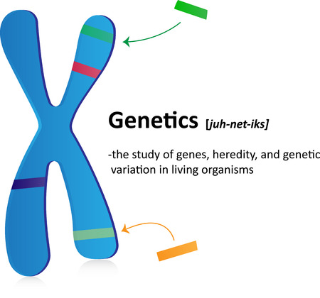 Define Geneticsの写真素材