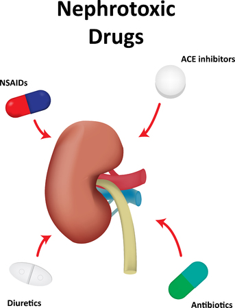 Nephrotoxic Drugsの写真素材