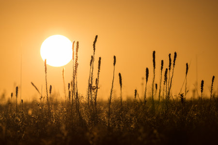 Sunrise over a Prairieの写真素材