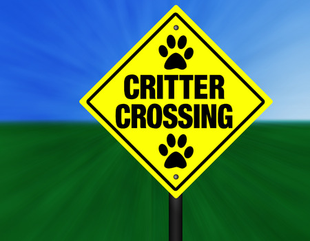 A yellow and black graphic Critter Crossing street sign.の写真素材