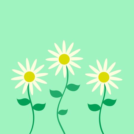 Graphic illustration of white flowers against a light green background.の写真素材