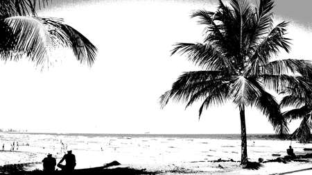 Brazil Beach, Chile, Cordillera, Montain, water, Sky, Nature, Animals,の写真素材