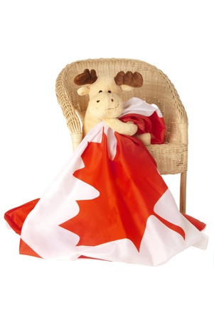 This is a moose toy seating on a rattan chair and holding a canadian flag isolated over a white background.の写真素材