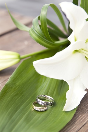This is two wedding rings over a green leaf of a white flower outside on a quay.の写真素材