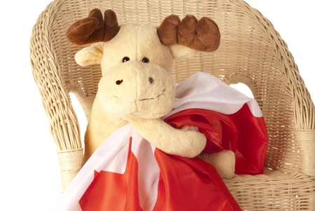 This is a moose toy holding a canadian flag isolated over a white background.の写真素材