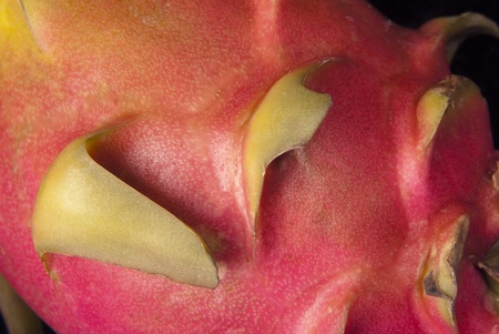This is a close-up of a dragon fruit over a balck background.の写真素材
