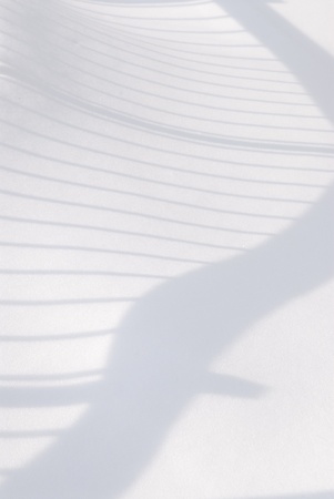 Shadows over the white snow.の写真素材