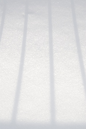 Shadows over the white snow.の写真素材