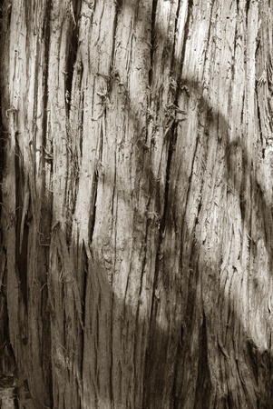 This is a close-up of a manipulate textured blue trunk background.の写真素材