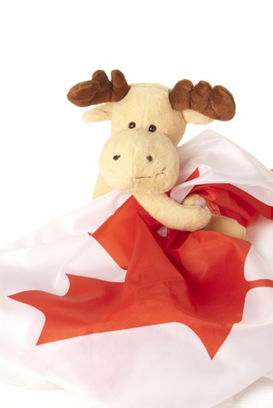 This is a moose toy holding a canadian flag isolated over a white background.の写真素材