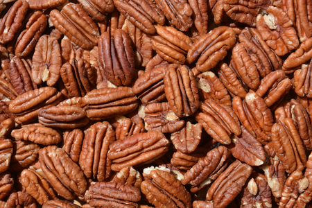 Pecan nuts, background