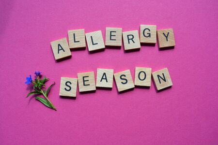 Allergy Season, words in wooden alphabet letters with flowers,  isolated on bright pink backgroundの写真素材