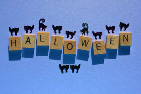 Halloween, word in wooden alphabet letters with cat sequin silhouettes