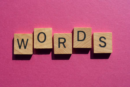 Words, word in wooden alphabet letters isolated on pink background as banner headline