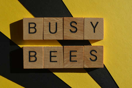 Busy Bees, words in wooden alphabet letters isolated on black and yellow backgroundの写真素材