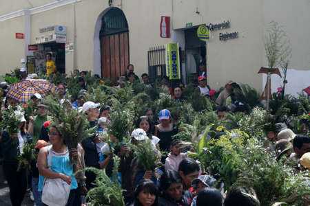 Quito, Ecuador - April 01, 2012 - People with their leaves at the Palm Sunday processionのeditorial素材