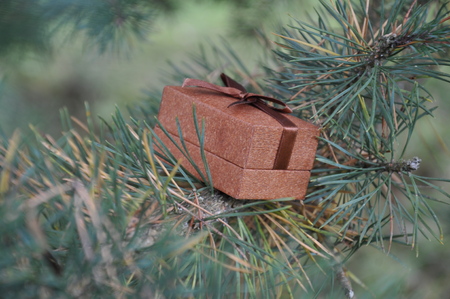 od box rings